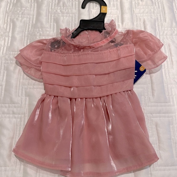 Dog Leash, Collar and 2 Outfits - Picture 5 of 6